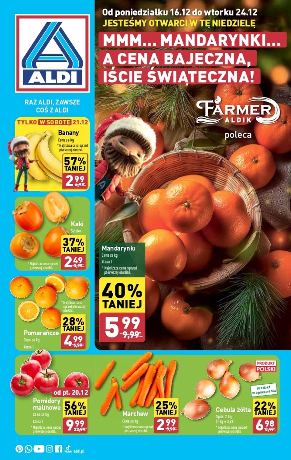 Gazetka promocyjna ALDI do 22/12/2024 str.1