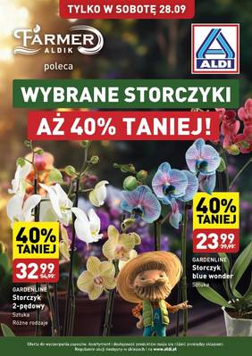 Aldi Storczyki