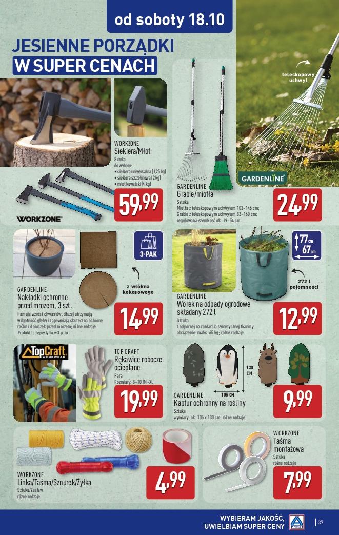 Gazetka promocyjna ALDI do 18/10/2025 str.37
