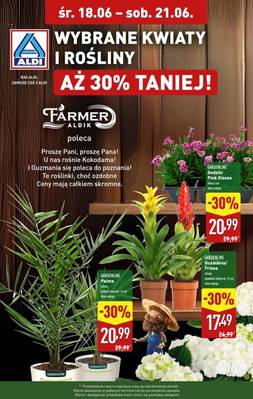 Aldi rośliny 