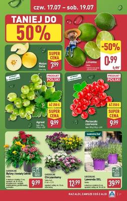 Katalog Aldi 
