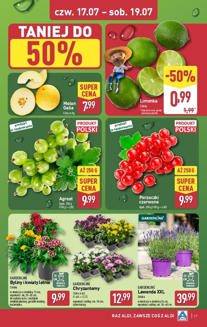 Gazetka promocyjna ALDI do 19/07/2025 str.27