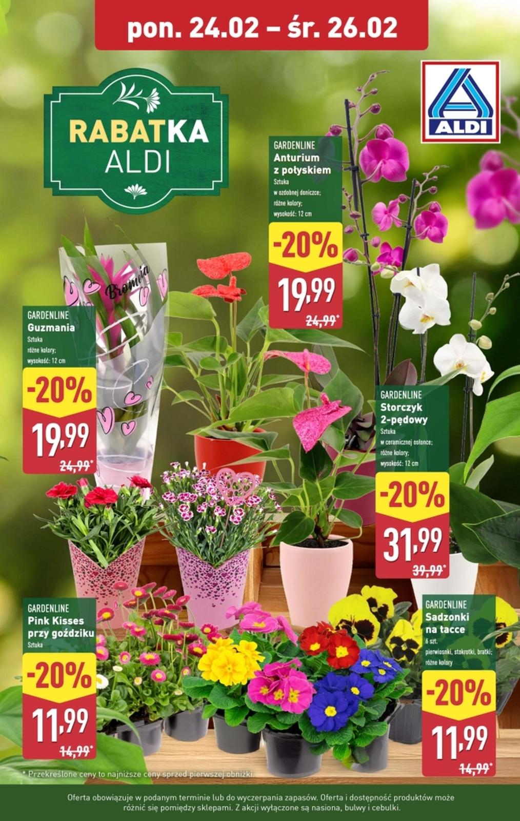 Gazetka promocyjna ALDI do 26/02/2025 str.2