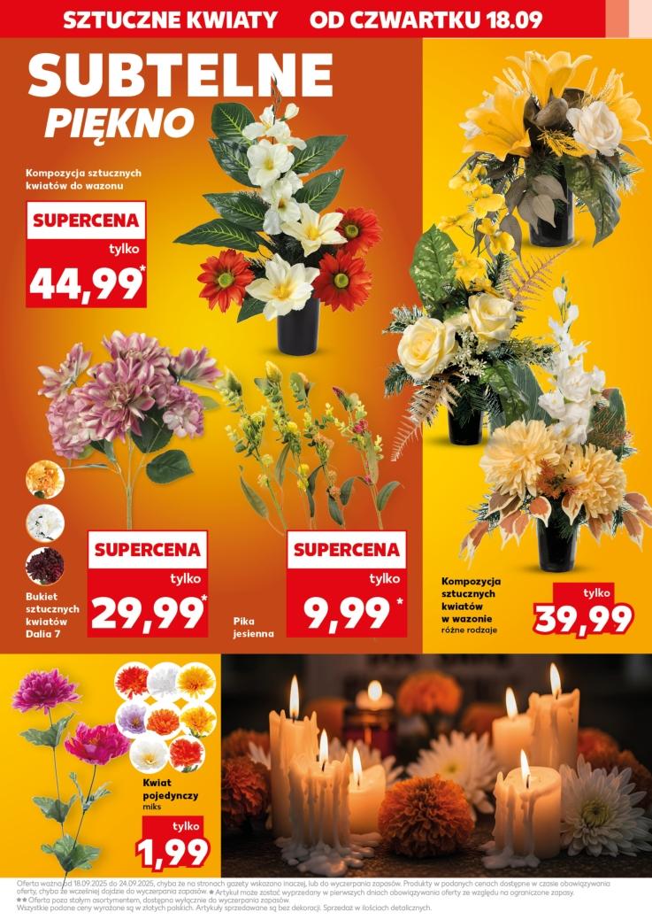 Gazetka promocyjna Kaufland do 24/09/2025 str.19