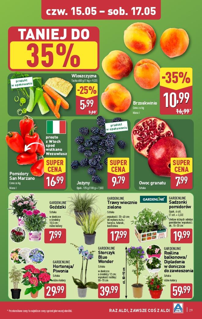 Gazetka promocyjna ALDI do 17/05/2025 str.29