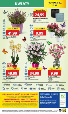 Lidl od czwartku
