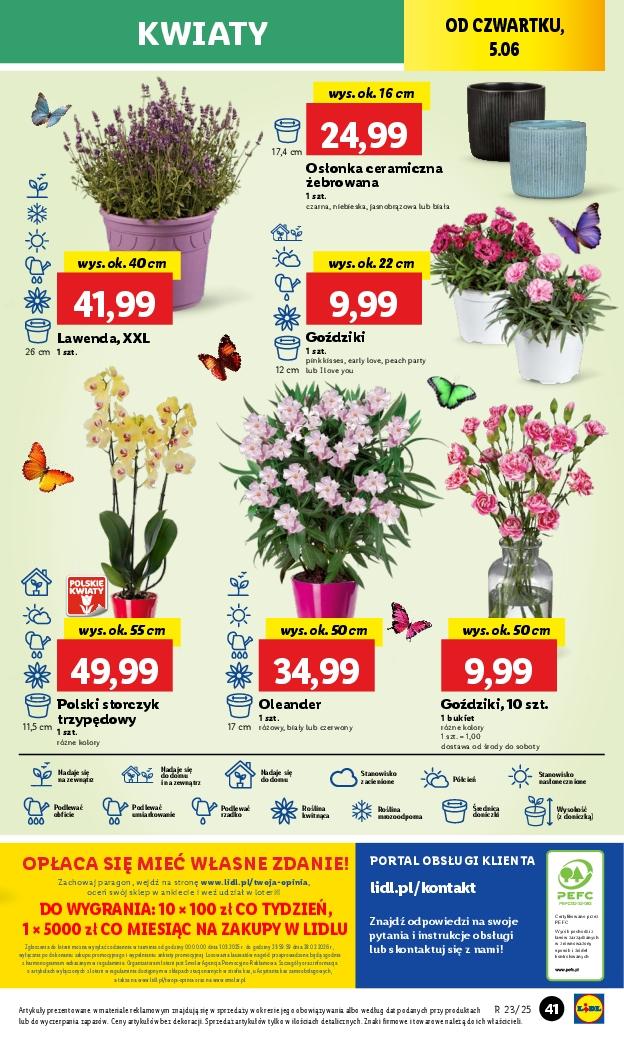 Gazetka promocyjna Lidl do 07/06/2025 str.51