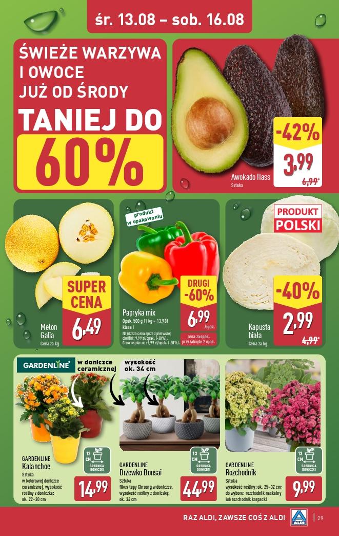 Gazetka promocyjna ALDI do 16/08/2025 str.29