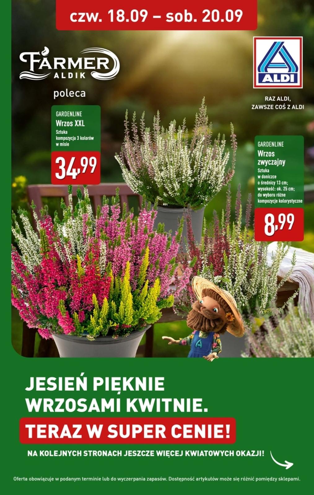 Gazetka promocyjna ALDI do 20/09/2025 str.1