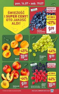 Katalog Aldi 