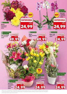 Kaufland non food