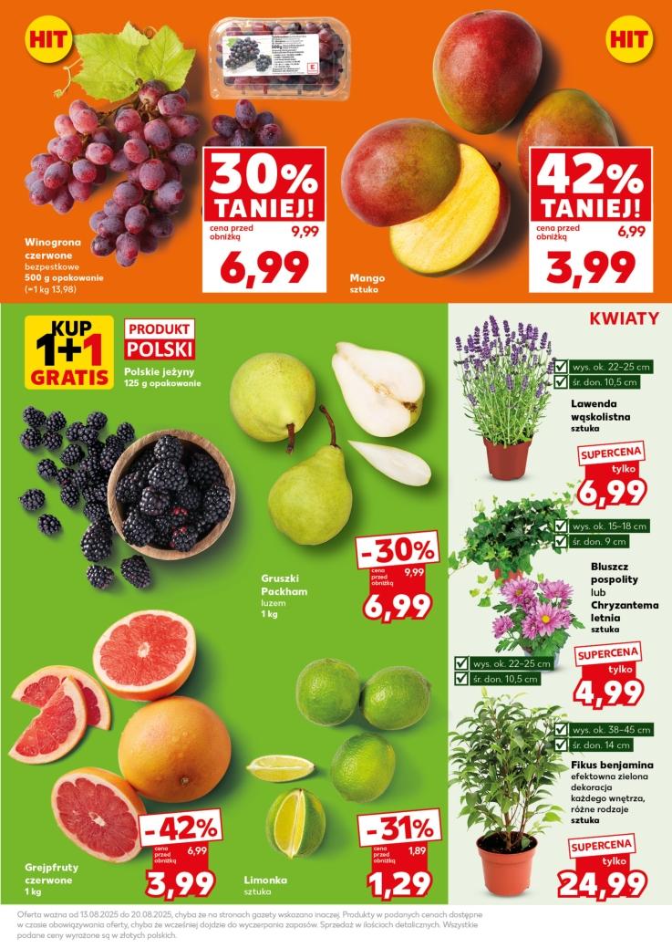Gazetka promocyjna Kaufland do 16/08/2025 str.13