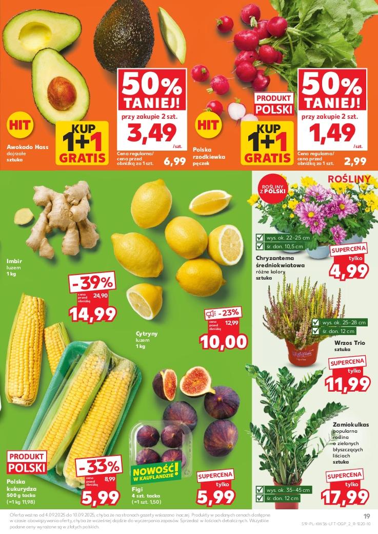 Gazetka promocyjna Kaufland do 10/09/2025 str.19