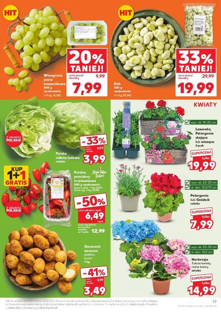 Gazetka promocyjna Kaufland do 04/06/2025 str.17