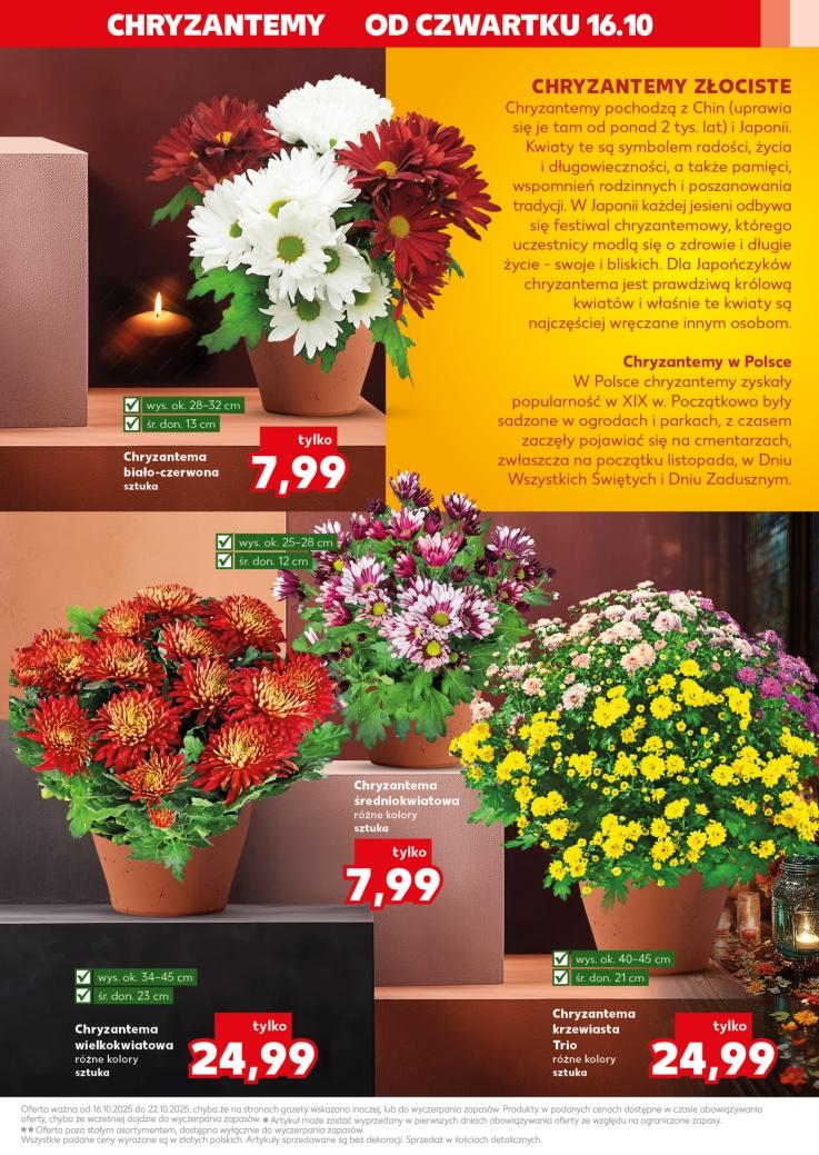 Gazetka promocyjna Kaufland do 22/10/2025 str.3