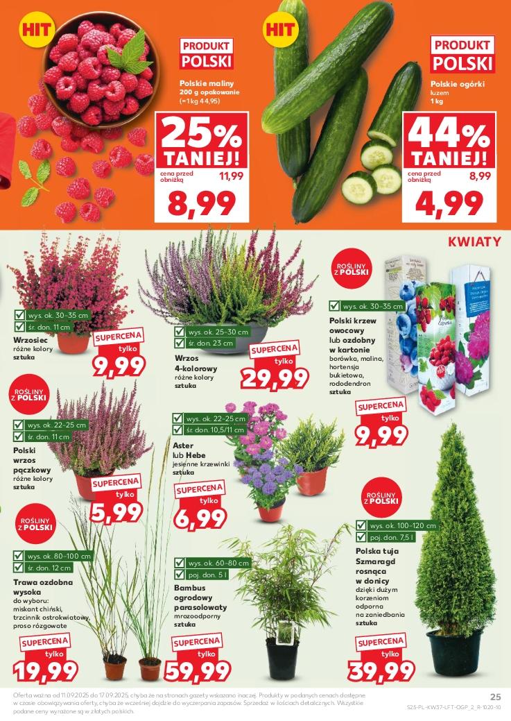 Gazetka promocyjna Kaufland do 17/09/2025 str.25