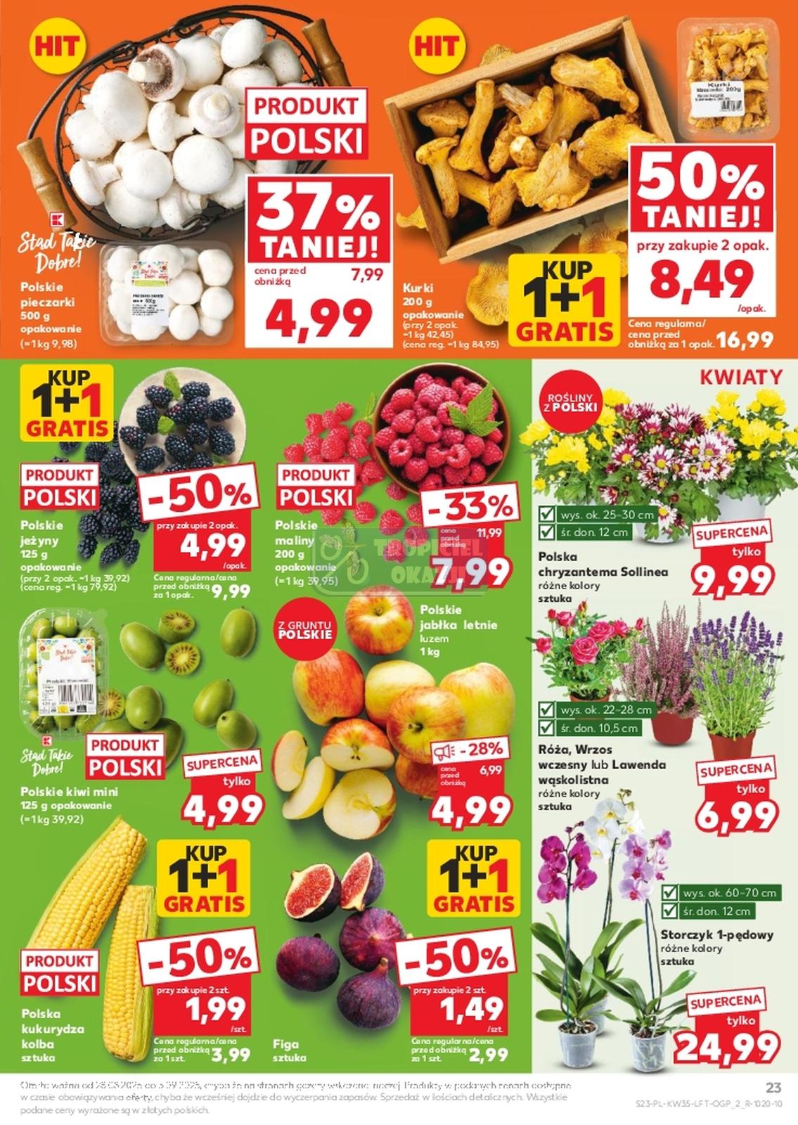 Gazetka promocyjna Kaufland do 03/09/2025 str.23