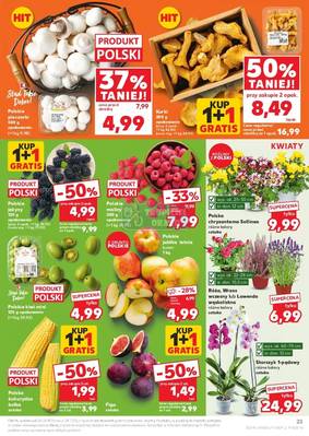 Gazetka Kaufland