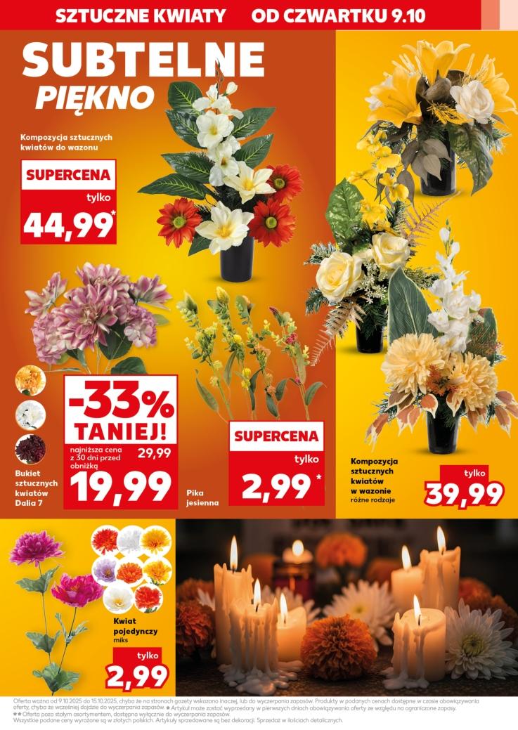 Gazetka promocyjna Kaufland do 15/10/2025 str.15