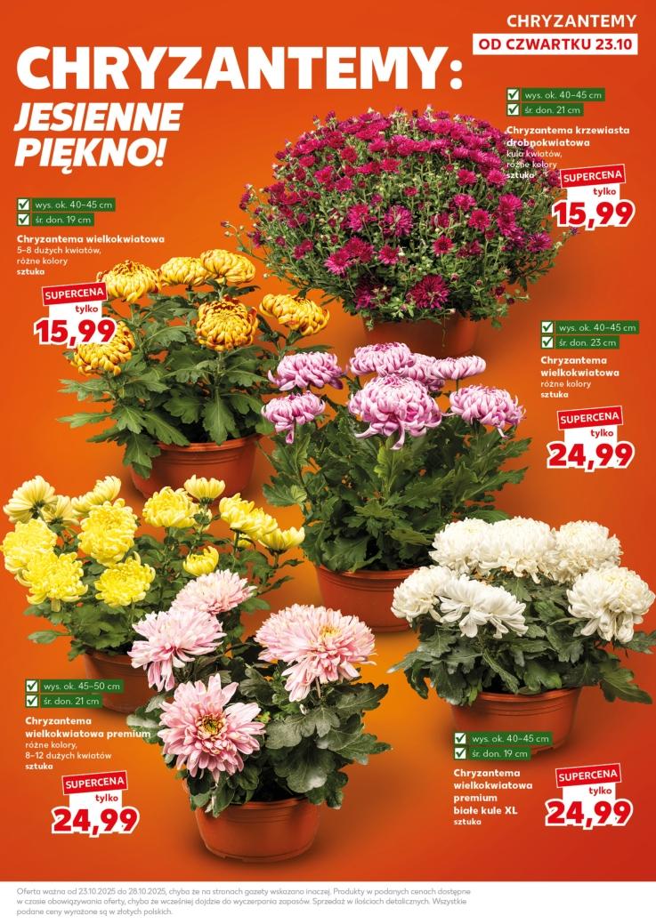 Gazetka promocyjna Kaufland do 25/10/2025 str.9