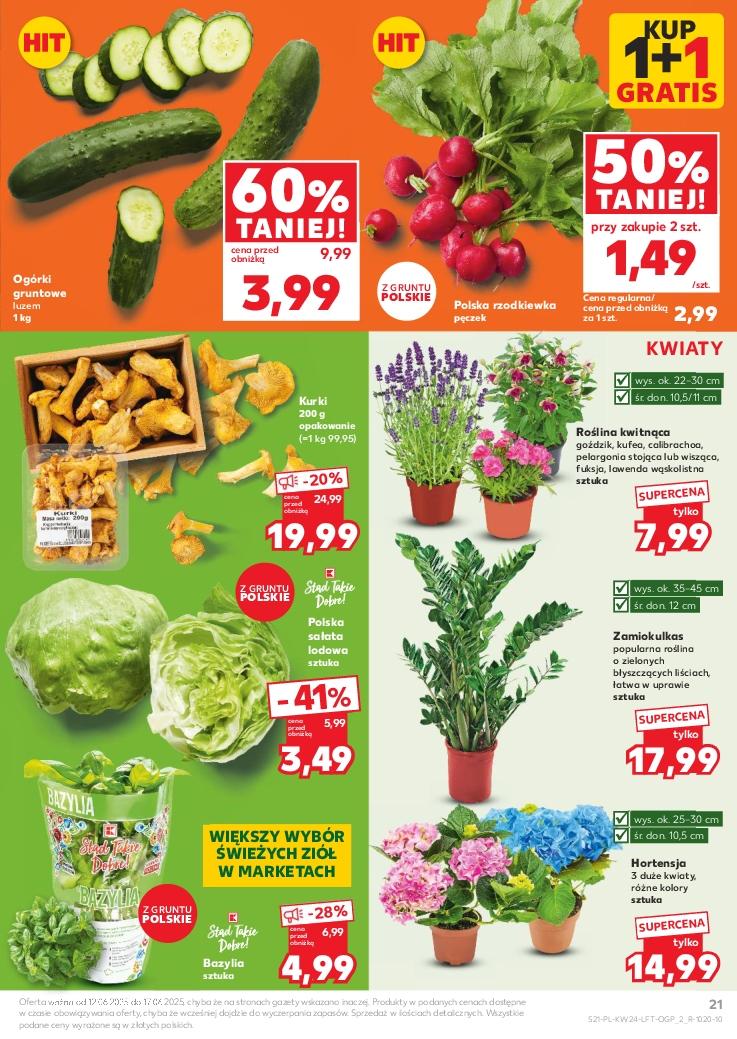 Gazetka promocyjna Kaufland do 17/06/2025 str.21