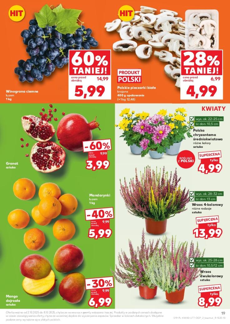 Gazetka promocyjna Kaufland do 08/10/2025 str.19
