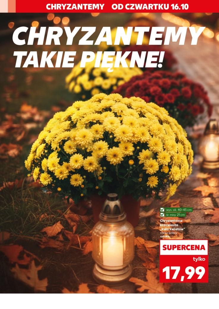 Gazetka promocyjna Kaufland do 22/10/2025 str.2