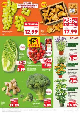Gazetka Kaufland