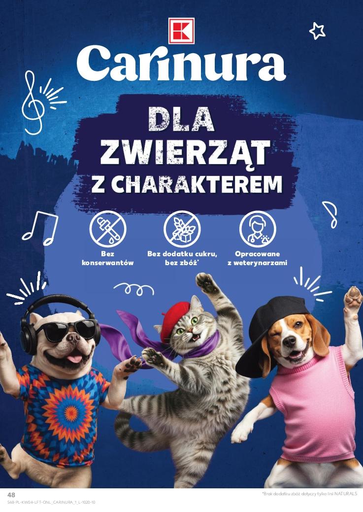 Gazetka promocyjna Kaufland do 28/01/2026 str.48