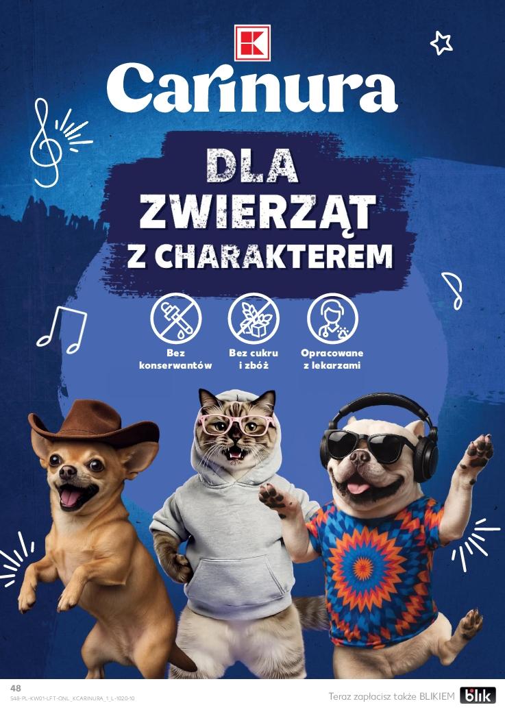 Gazetka promocyjna Kaufland do 07/01/2026 str.48