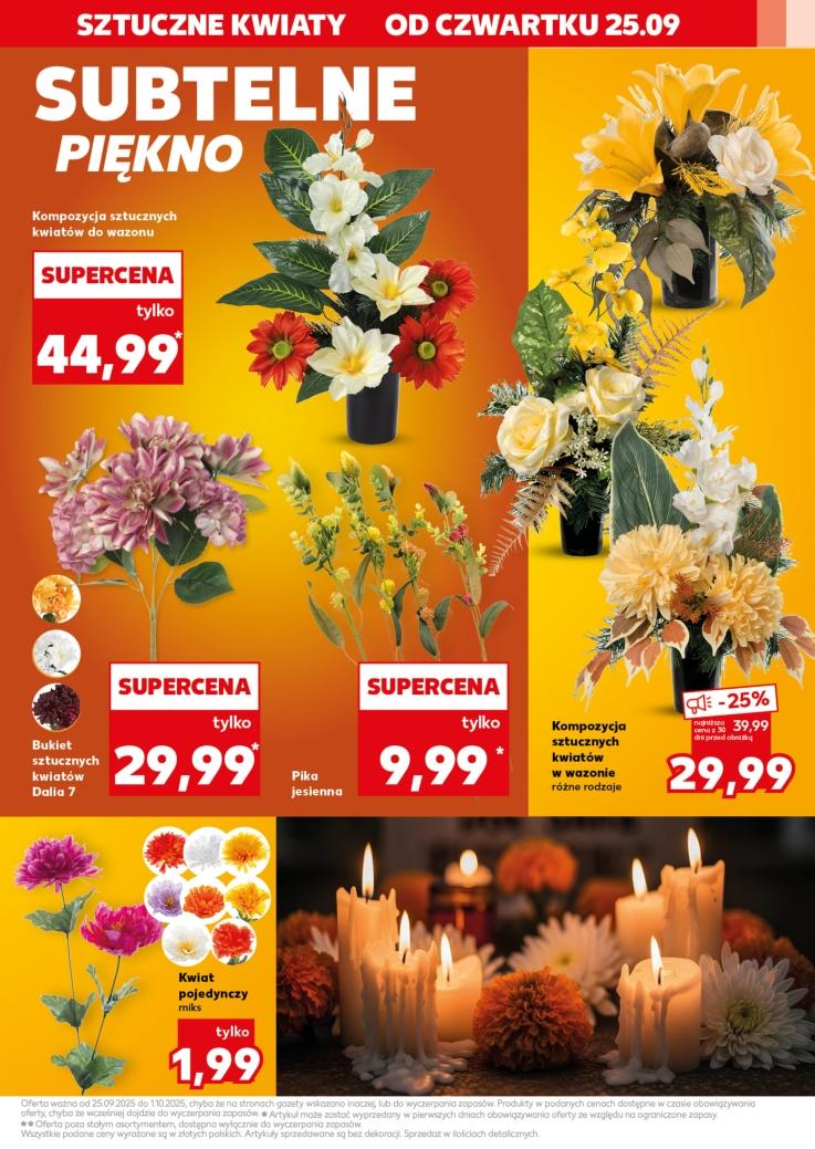 Gazetka promocyjna Kaufland do 01/10/2025 str.15