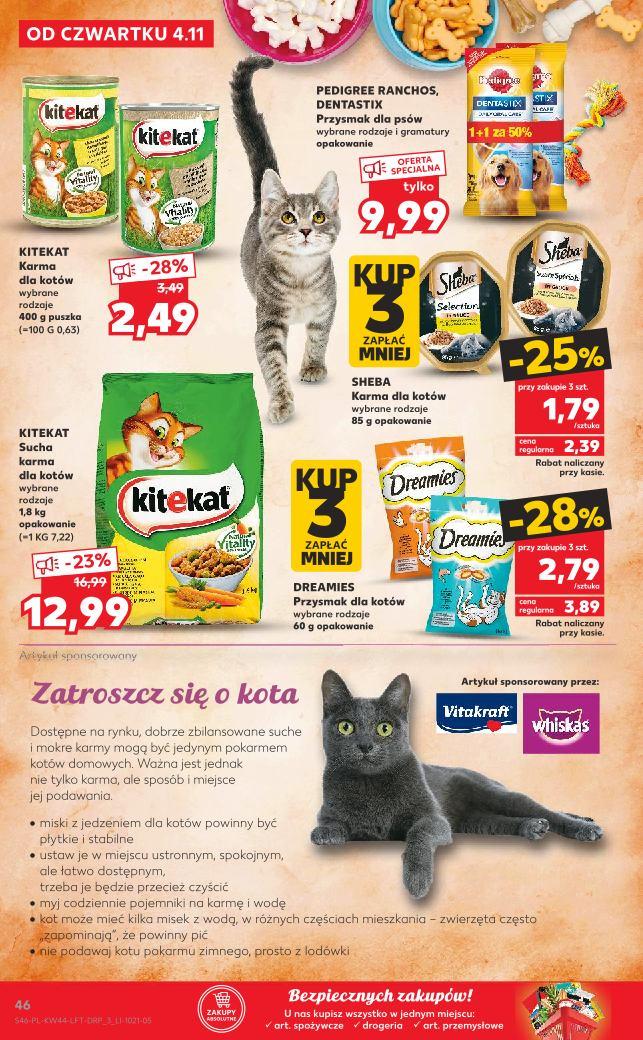 Gazetka promocyjna Kaufland do 09/11/2021 str.46