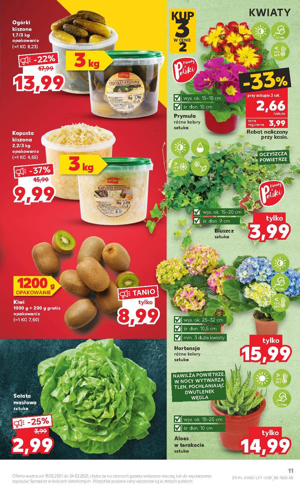 Gazetka promocyjna Kaufland do 24/02/2021 str.11