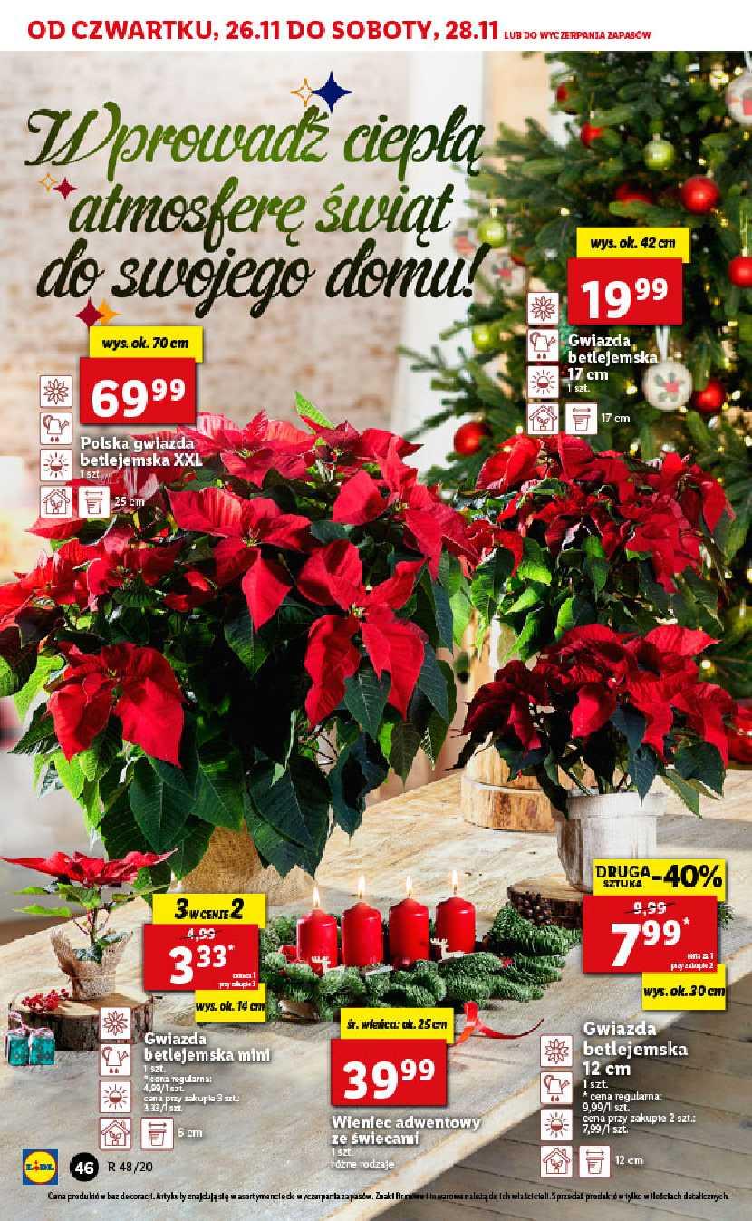 Gazetka promocyjna Lidl do 28/11/2020 str.46