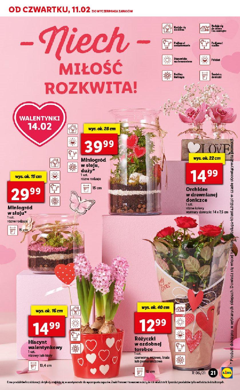 Gazetka promocyjna Lidl do 13/02/2021 str.21