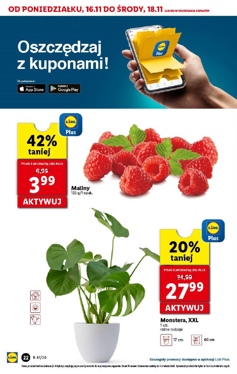 Gazetka promocyjna Lidl do 18/11/2020 str.22