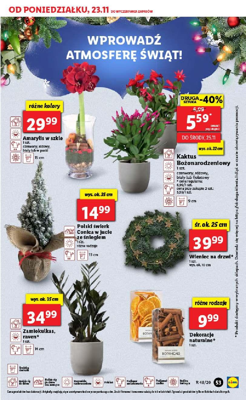 Gazetka promocyjna Lidl do 25/11/2020 str.53