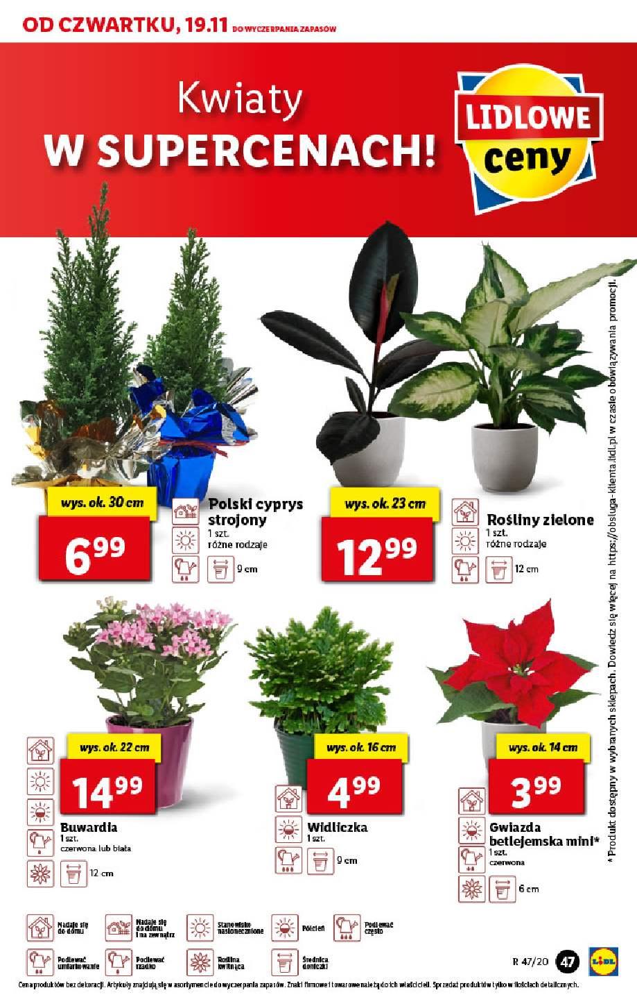 Gazetka promocyjna Lidl do 21/11/2020 str.47