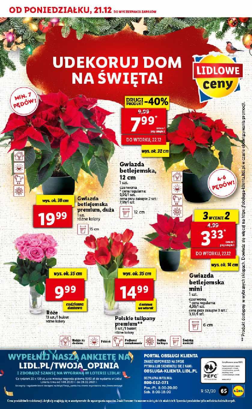 Gazetka promocyjna Lidl do 24/12/2020 str.65