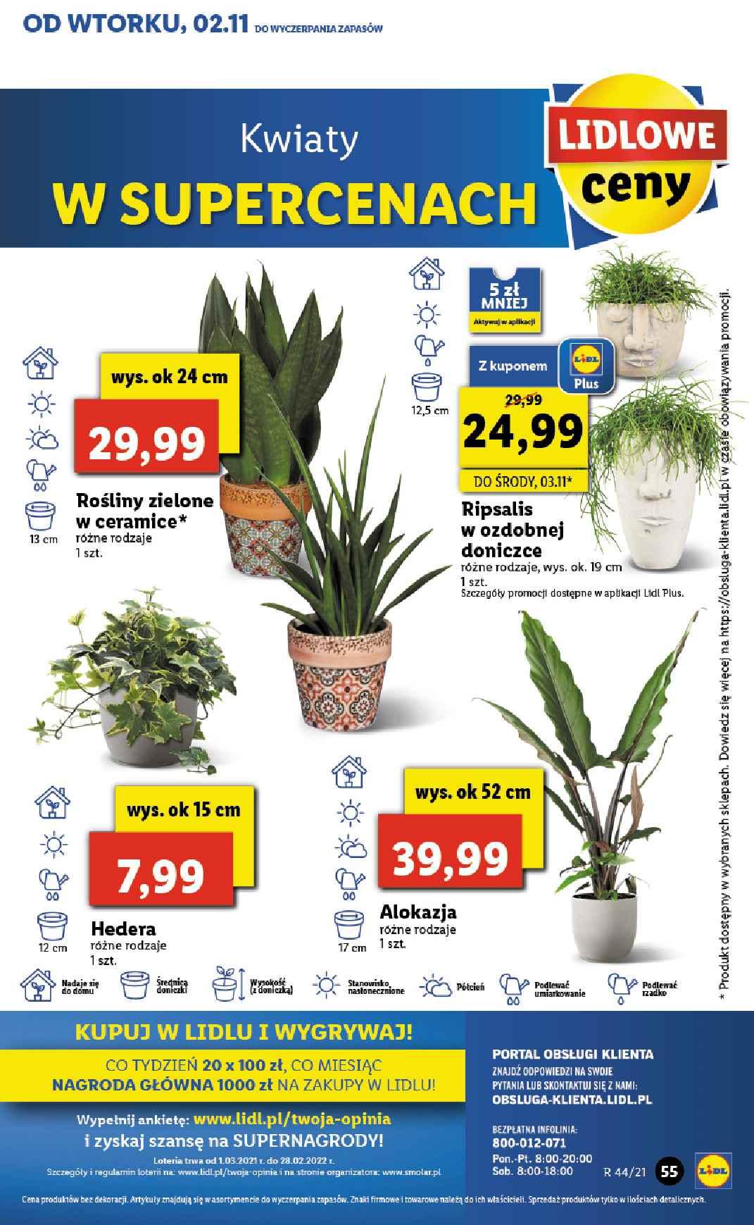 Gazetka promocyjna Lidl do 03/11/2021 str.55