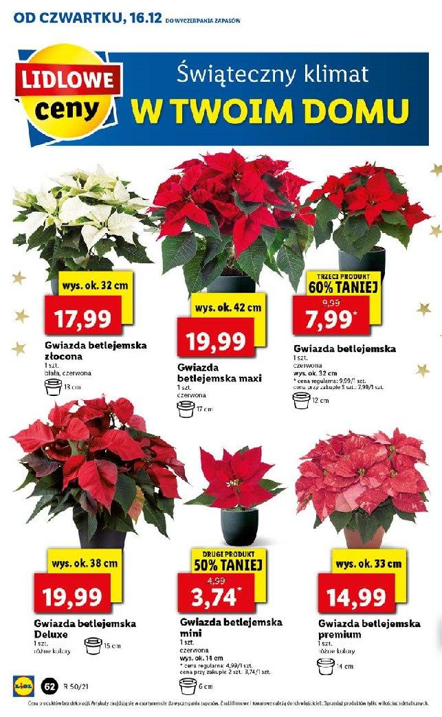 Gazetka promocyjna Lidl do 19/12/2021 str.62