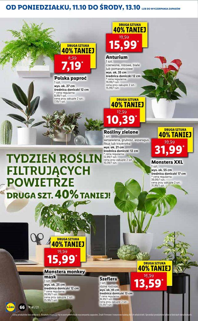 Gazetka promocyjna Lidl do 13/10/2021 str.62