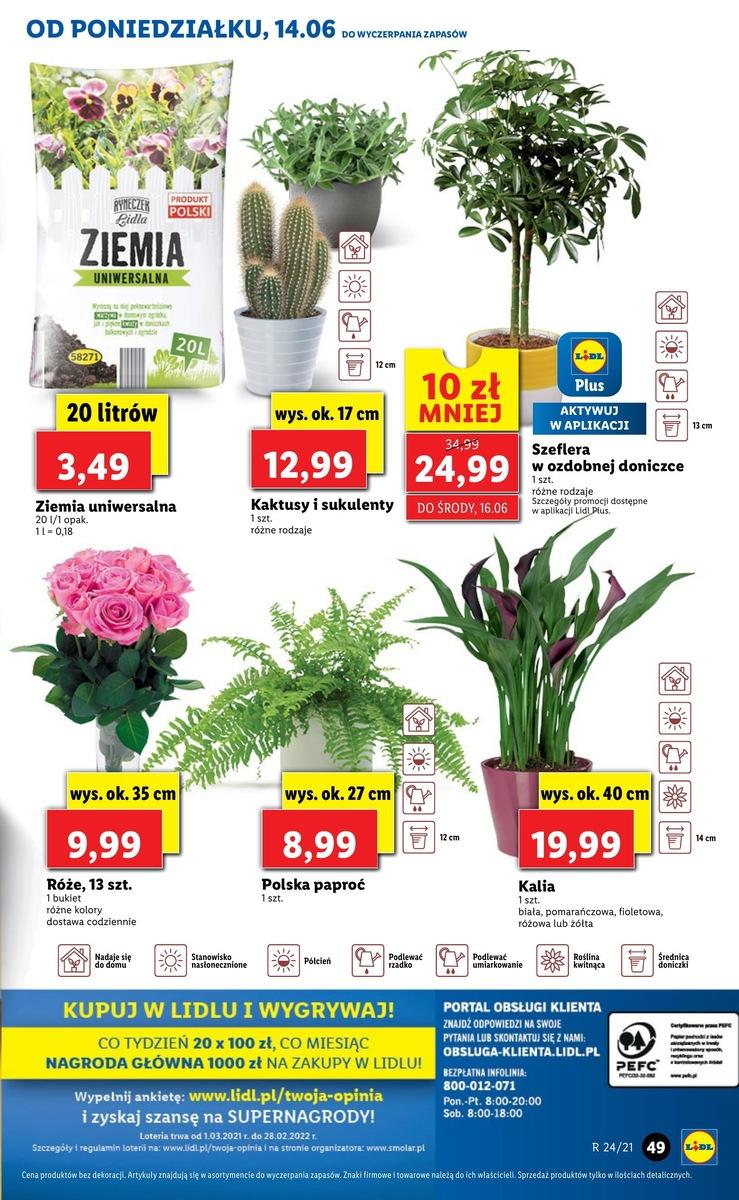 Gazetka promocyjna Lidl do 16/06/2021 str.49