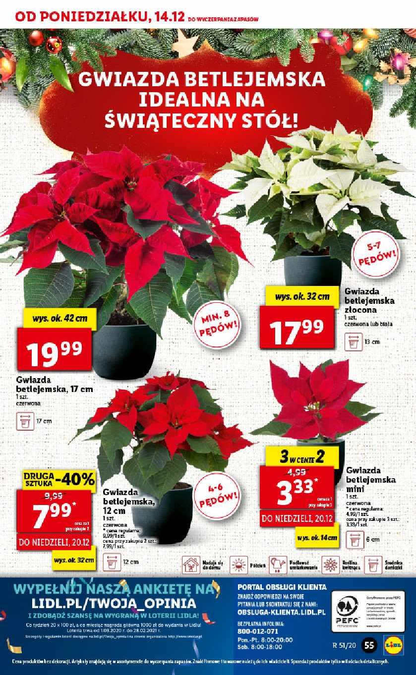 Gazetka promocyjna Lidl do 16/12/2020 str.55