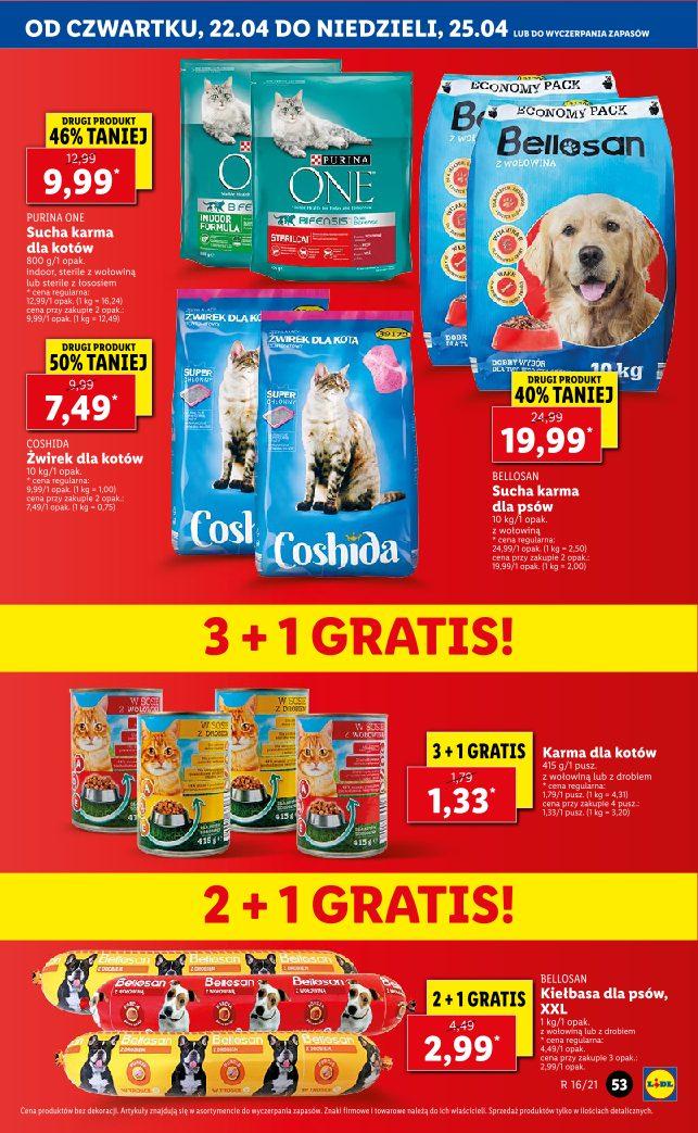 Gazetka promocyjna Lidl do 25/04/2021 str.53