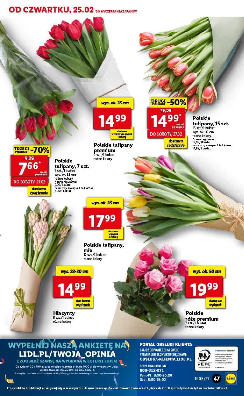 Gazetka promocyjna Lidl do 28/02/2021 str.47