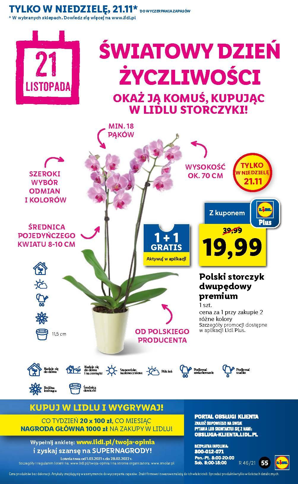 Gazetka promocyjna Lidl do 20/11/2021 str.55