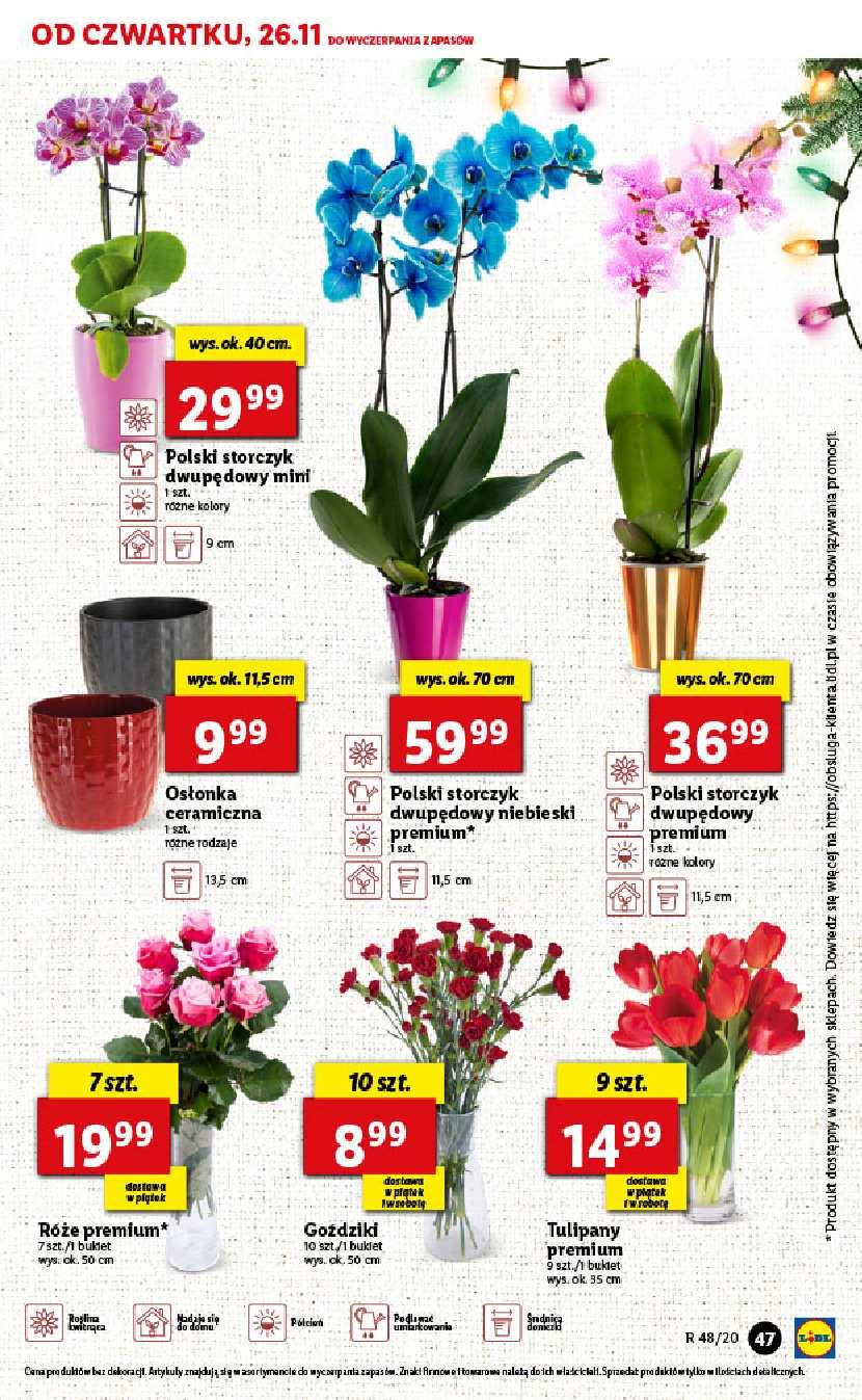 Gazetka promocyjna Lidl do 28/11/2020 str.47