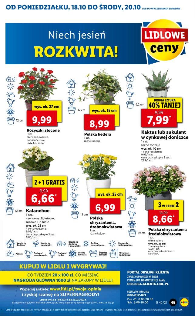 Gazetka promocyjna Lidl do 20/10/2021 str.45