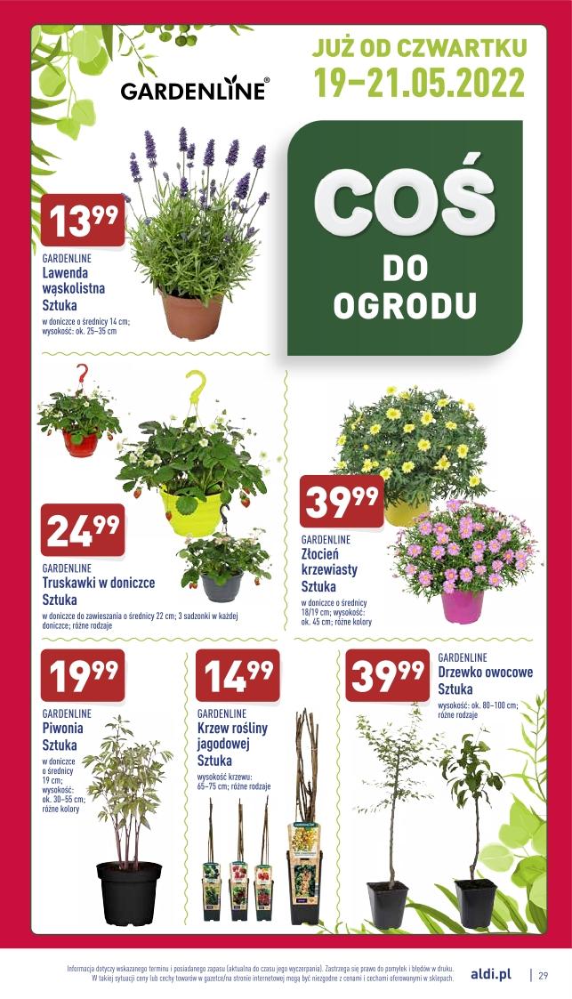 Gazetka promocyjna ALDI do 21/05/2022 str.29